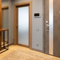 Flush Door